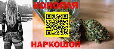 прущие крисы Кулебаки