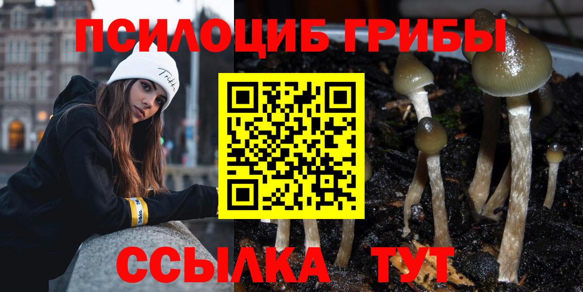 Карачаевск  Псилоцибиновые грибы MAGIC MUSHROOMS  Вход с VPN 